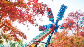 【京畿道必遊】Everland 愛寶樂園電子門票＋快速通關Q-Pass