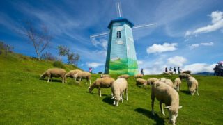 清境．空中花園．台中1969藍天飯店 3天套票