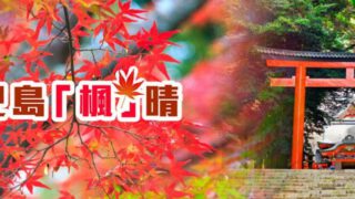 鹿兒島「楓」晴 – 5日4晚旅遊套票 – 港航假期