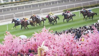 2023 農曆新年賽馬日