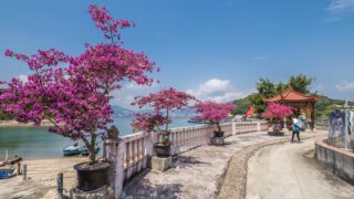 沙頭角禁區本地遊 公眾報名  2023年1月