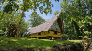 直⾶帛琉，體驗非凡海島天堂假期