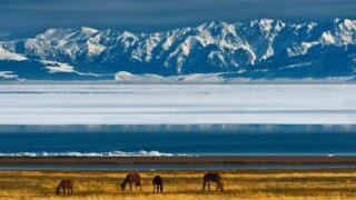 [專屬優惠另減HKD500 ] 新彊8日遊：雪韻伊犁 • 藍冰奇緣